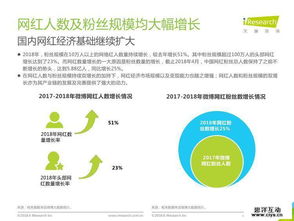 2018年中国网红经济发展研究报告 网络技术开发与信息咨询的驱动力量