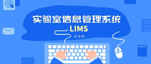 我的第一位导师与三句真言 网络技术开发的航标